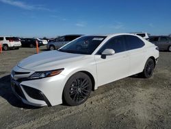 Toyota Camry salvage cars for sale: 2023 Toyota Camry XSE