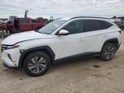 2022 Hyundai Tucson Blue en venta en Houston, TX