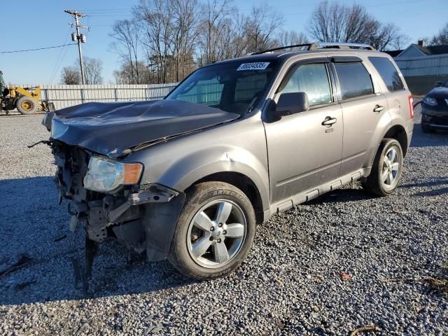 2011 Ford Escape Limited