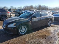 Salvage cars for sale from Copart Chalfont, PA: 2012 Nissan Maxima S