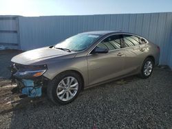 Salvage cars for sale at Riverview, FL auction: 2023 Chevrolet Malibu LT