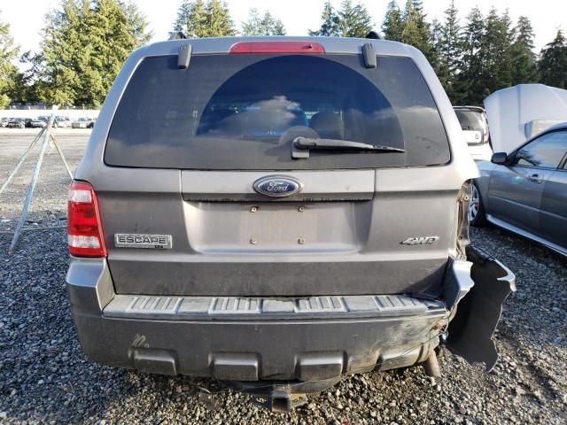 2009 Ford Escape XLT