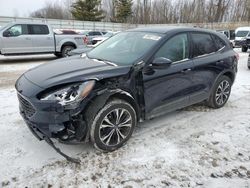 Salvage cars for sale at Davison, MI auction: 2021 Ford Escape SE