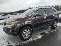 KIA Vehiculos salvage en venta: 2011 KIA Sorento Base