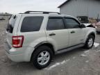 2008 Ford Escape XLT