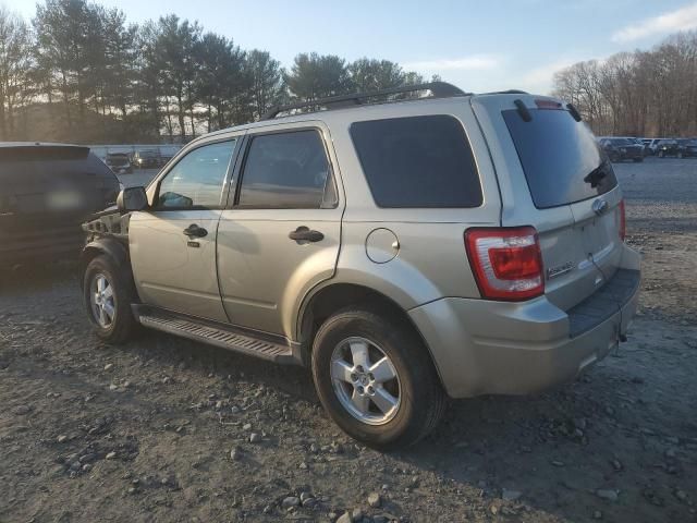 2010 Ford Escape XLT