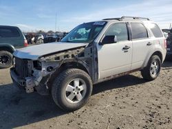 2012 Ford Escape XLT en venta en Eugene, OR