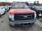 2013 Ford F150