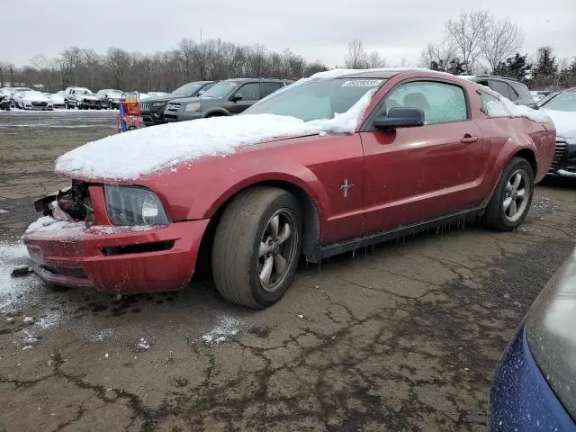 2007 Ford Mustang