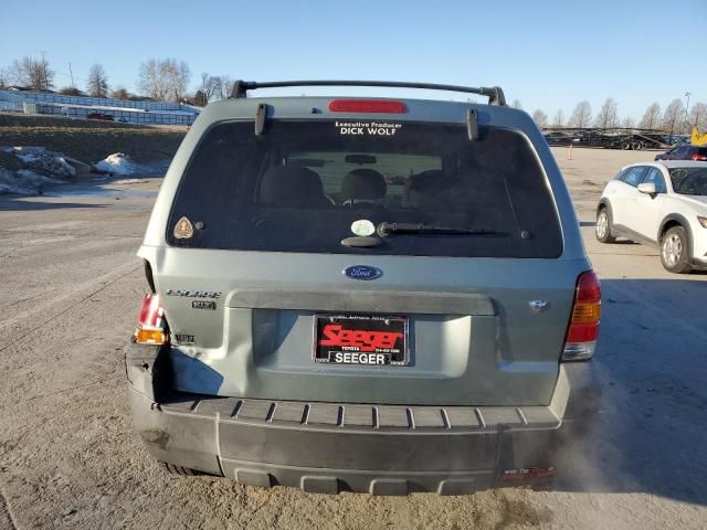 2007 Ford Escape XLT