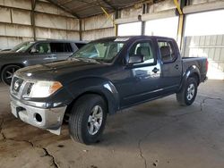 Salvage cars for sale at Phoenix, AZ auction: 2010 Nissan Frontier Crew Cab SE