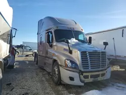 Salvage trucks for sale at Cicero, IN auction: 2016 Freightliner Cascadia 125