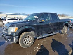 Ford f-150 salvage cars for sale: 2013 Ford F150 Supercrew