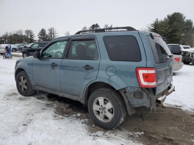 2011 Ford Escape XLT