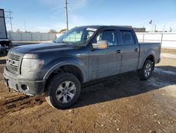 Salvage cars for sale at Bismarck, ND auction: 2013 Ford F150 Supercrew