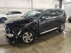 Salvage cars for sale at Avon, MN auction: 2023 Hyundai Santa FE SEL Premium