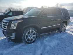 Cadillac salvage cars for sale: 2017 Cadillac Escalade Luxury