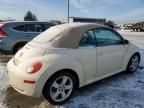 2006 Volkswagen New Beetle Convertible Option Package 2