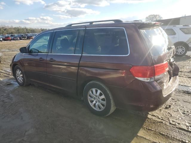 2008 Honda Odyssey EXL