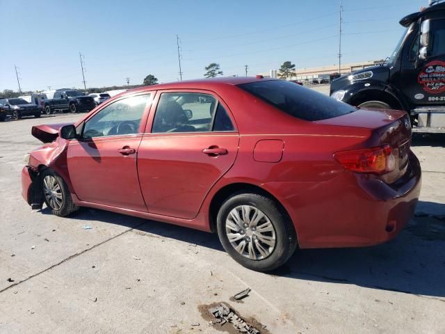 2010 Toyota Corolla Base