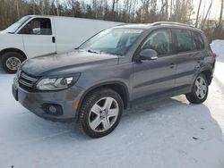 Salvage cars for sale at Cookstown, ON auction: 2015 Volkswagen Tiguan S