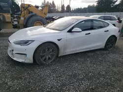 2023 Tesla Model S en venta en Graham, WA