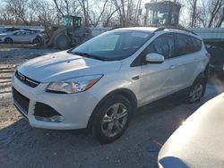 Ford Escape se salvage cars for sale: 2016 Ford Escape SE