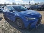 2023 Lexus NX 350