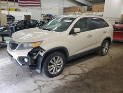 Salvage cars for sale from Copart Ham Lake, MN: 2011 KIA Sorento EX