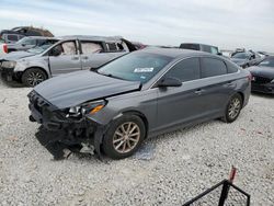 Salvage cars for sale at Temple, TX auction: 2019 Hyundai Sonata SE