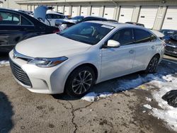 Salvage cars for sale at Louisville, KY auction: 2016 Toyota Avalon XLE