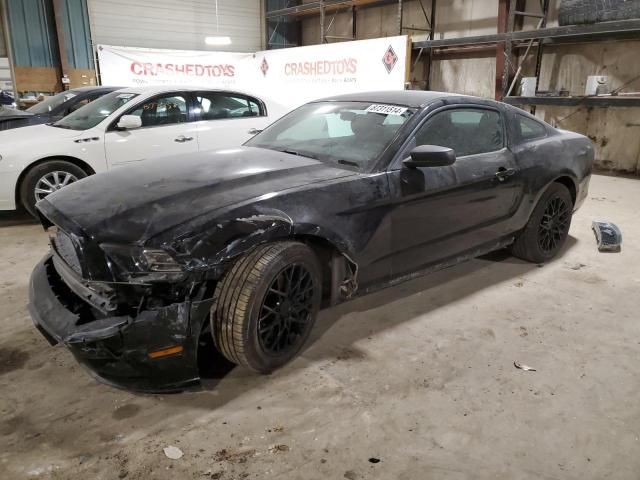 2014 Ford Mustang