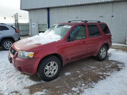 Salvage cars for sale at Colorado Springs, CO auction: 2006 Ford Escape Limited