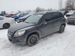 Salvage cars for sale from Copart London, ON: 2011 Volkswagen Tiguan S