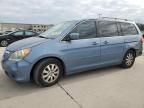 2010 Honda Odyssey EX