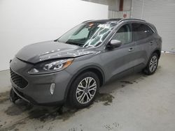 Ford Escape sel salvage cars for sale: 2022 Ford Escape SEL