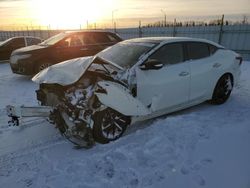 2017 Nissan Maxima 3.5S en venta en Nisku, AB