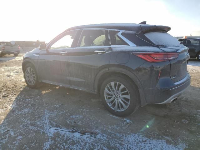 2023 Infiniti QX50 Luxe