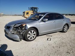 Salvage cars for sale at New Braunfels, TX auction: 2009 Honda Accord EXL