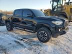 2021 Toyota Tacoma Double Cab