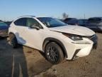 2019 Lexus NX 300 Base