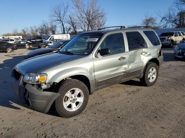 2007 Ford Escape XLT