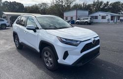 Toyota Vehiculos salvage en venta: 2024 Toyota Rav4 XLE