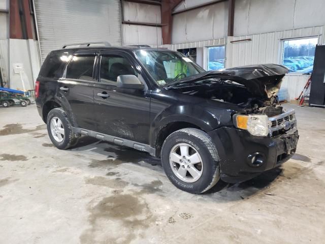 2009 Ford Escape XLT