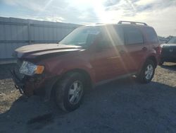 Salvage cars for sale at Fredericksburg, VA auction: 2011 Ford Escape XLT