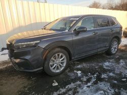 Salvage cars for sale at Windsor, NJ auction: 2023 Honda CR-V EXL