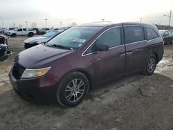 Salvage cars for sale at Indianapolis, IN auction: 2011 Honda Odyssey EXL