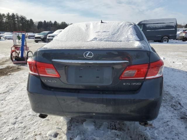 2010 Lexus ES 350