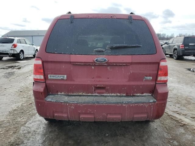 2011 Ford Escape XLT