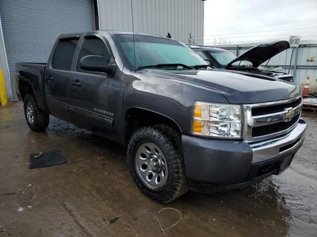 2010 Chevrolet Silverado K1500 LS